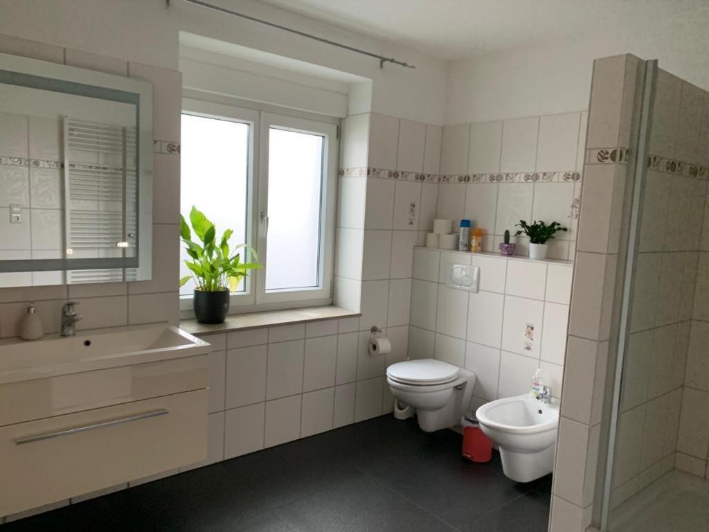 Guenstige Zimmer-Unterkunft Zimmer Mit Gemeinschaftsbad Lörrach Extérieur photo