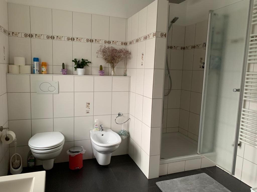 Guenstige Zimmer-Unterkunft Zimmer Mit Gemeinschaftsbad Lörrach Extérieur photo